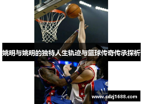 姚明与姚明的独特人生轨迹与篮球传奇传承探析