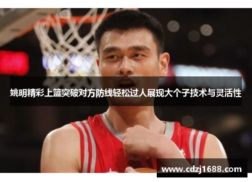 姚明精彩上篮突破对方防线轻松过人展现大个子技术与灵活性