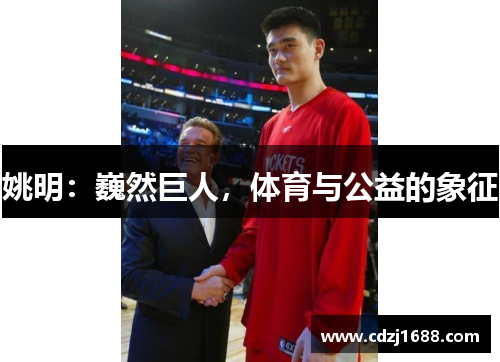 姚明：巍然巨人，体育与公益的象征