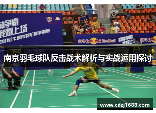 南京羽毛球队反击战术解析与实战运用探讨